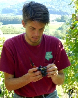 Wine-Times