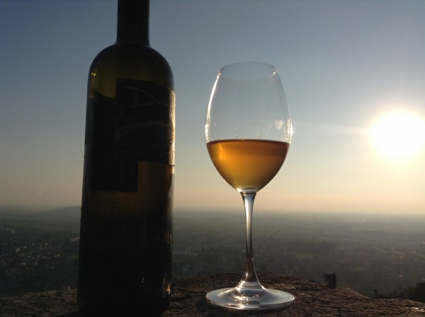 Wine-Times