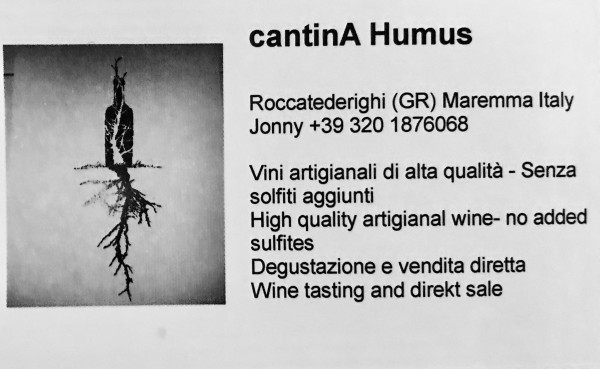 Wine-Times